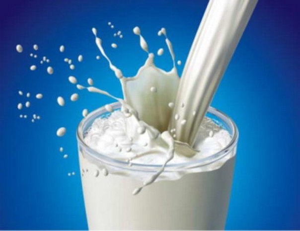 Как свидетельствуют многочисленные исследования, коровье молоко позволяет ускорить похудение. Однако, как оказалось, молоко другого вида помогает справиться с этой задачей еще быстрее. Какое?