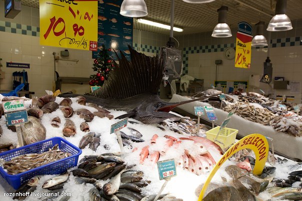 В Испании супермаркеты продают морепродукты по очень дешевым ценам, советую покупать в маркетах и самим готовить.