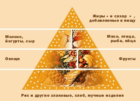 Так выглядит пирамида здорового питания, предлагаемая специалистами: