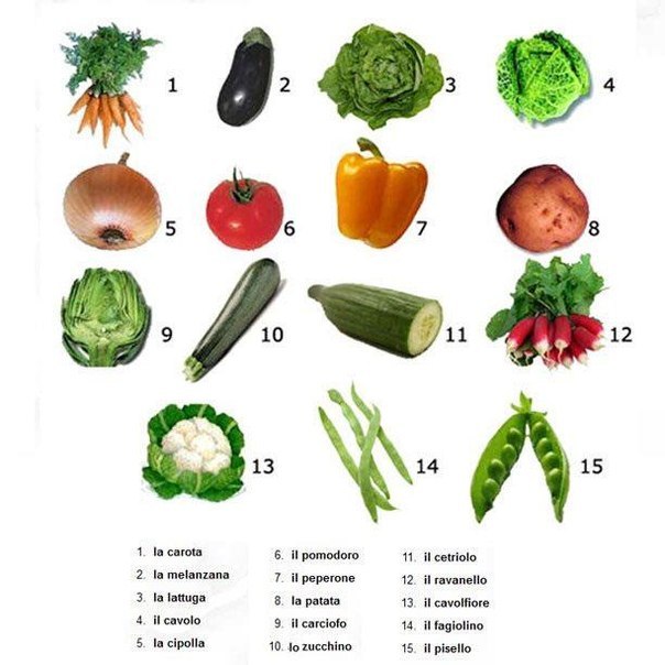 Учим названия овощей!