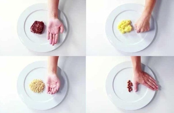 Как определять правильный размер порций еды при помощи «правила рук»?