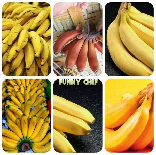10 новых фактов о бананах! 