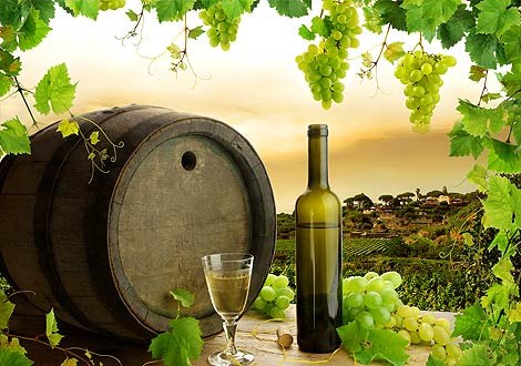 Испания является раем для любителей вина, несмотря на то, что чаще всего страной вин считают Францию. Испанское вино славится не только своим разнообразием и качеством, но еще и соотношением цены и качества. 15 самых лучших видов испанских красных вин (точнее, сортов винограда, из которых оно производится).