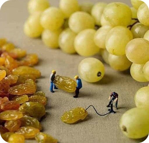 Как делают виноград