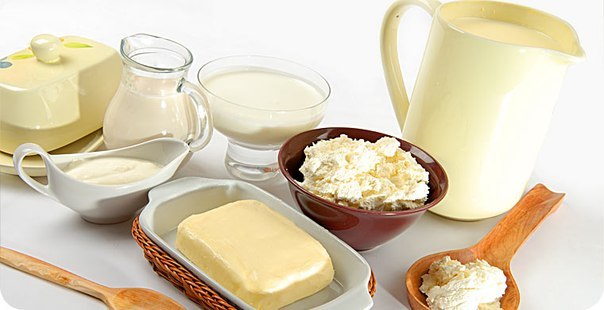 Молоко и кисломолочные продукты отличает наличие у первых небольшое содержание спирта, меньшую концентрацию лактозы и присутствие различных бактерий, которые способствует закваскам.