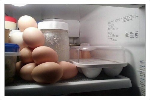 Попросила мужа убрать яйца в холодильник :D
