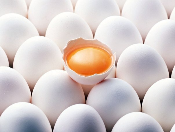 Десять фактов, которые вы не знали про яйца.