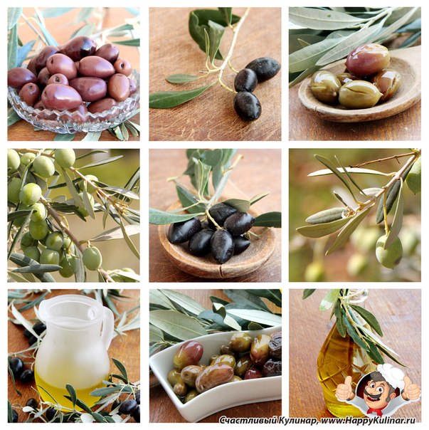Некоторые факты об оливковом масле.