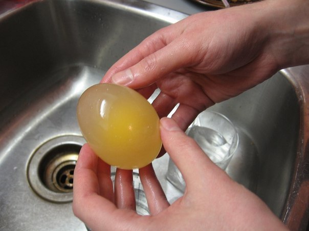 Эксперимент с яйцом и уксусом