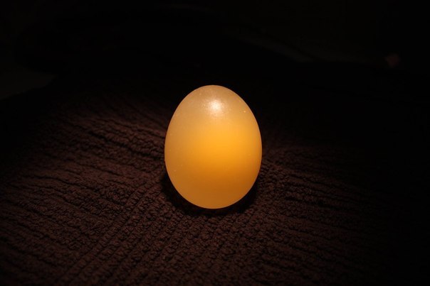Эксперимент с яйцом и уксусом