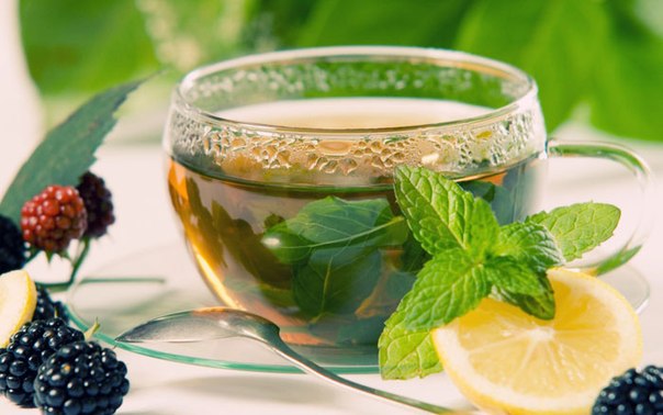Зеленый чай – защита против стрессов :)
