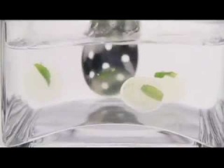 Посмотрите этот уникальный видеоролик, в котором показано, как готовится молекулярный мохито.