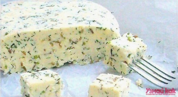 Как сделать домашний сыр с зеленью и тмином