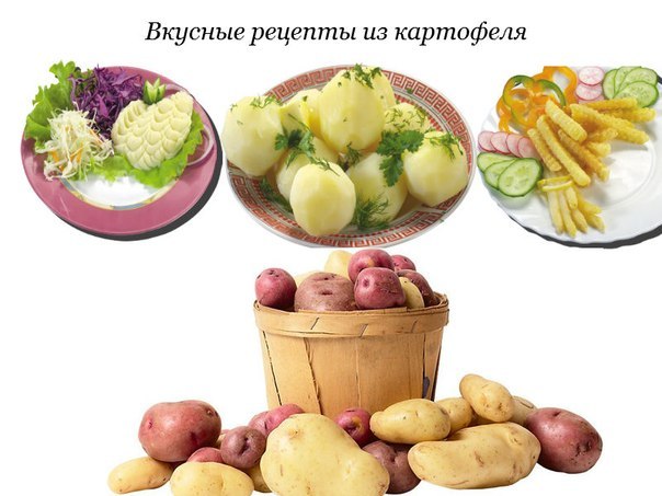 Самые вкусные блюда из картофеля