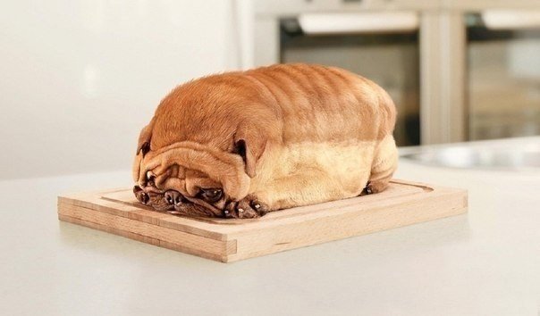 Буханка хлеба!!! =)