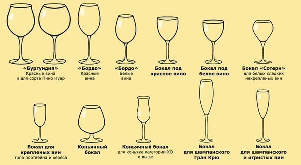 Полезно знать! Названия бокалов для вина и их назначение!