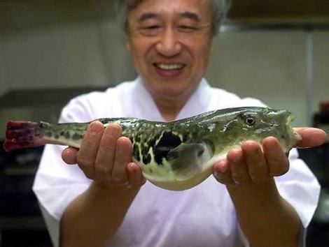 Самым изысканном деликатесом в японской кухне является рыба фугу. Однако при неправильном приготовлении употребление в пищу этой рыбы может вызвать смертельное отравление. Учёные выяснили, что ядовитость рыбы фугу обусловлена не врождёнными свойствами, а исключительно её рационом — морскими звёздами и ракушечниками, от которых она и получает яд. Если же кормить её нетоксичной пищей, смертельного яда в ней совершенно не окажется. Однако это открытие не вызвало радость поваров и владельцев японских ресторанов. Ведь порция фугу стоит очень дорого и привлекает туристов именно возможностью испытать острые ощущения, а отсутствие опасности может значительно снизить цену блюда