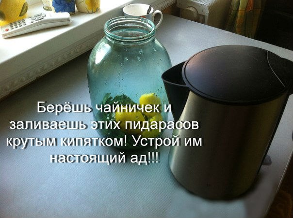 Поскольку на улице адское пекло, один из наших бро предлагает рецепт освежающего домашнего напитка! С любовью! Спасибо бро!