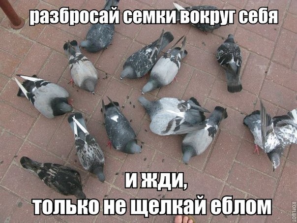 "Кортоха с птицей" 