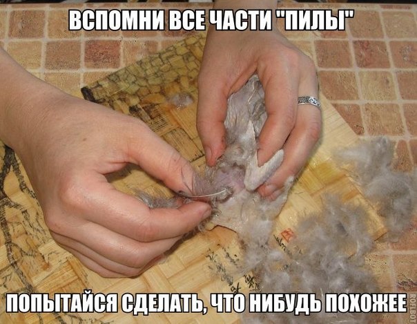 "Кортоха с птицей" 